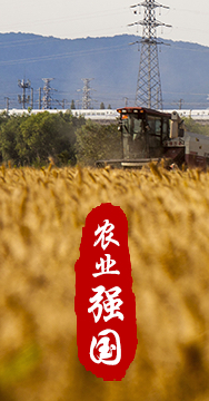 農(nóng)業(yè)強(qiáng)國(guó)是社會(huì)主義現(xiàn)代化強(qiáng)國(guó)的根基。